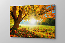 Obraz Jeseň pani bohatá zs1200